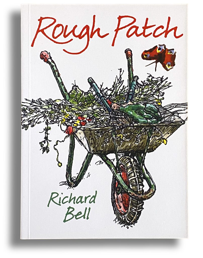 Rough Patch cover